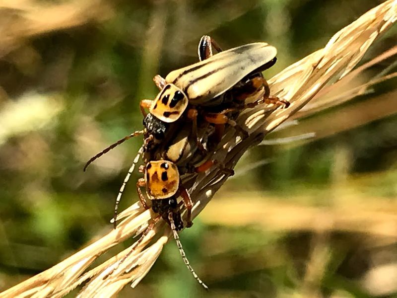 Friendly Insects | Smithsonian Photo Contest | Smithsonian Magazine