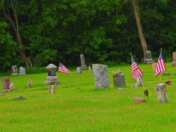 American Flags by Tombstones thumbnail