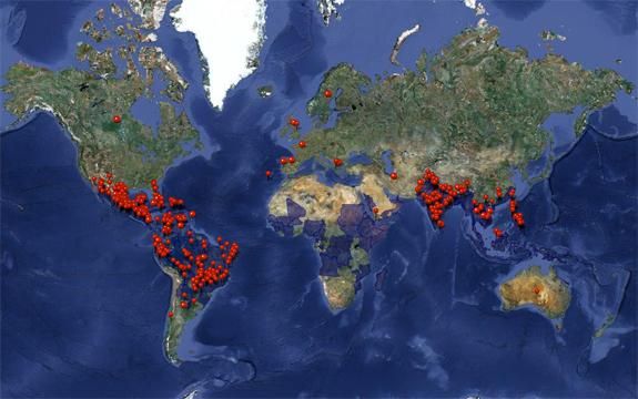 Dengue fever reports around the world
