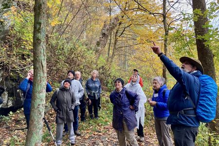 A group of hikers surrounded by trees on a trail look up as a tour leader points something out