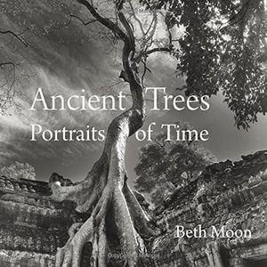 Preview thumbnail for Ancient Trees: Portraits of Time