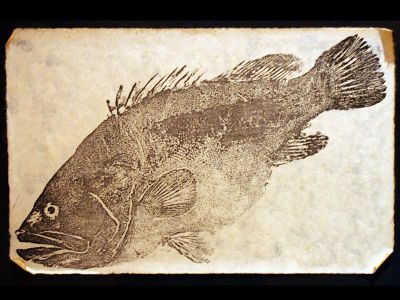 A gyotaku fish print