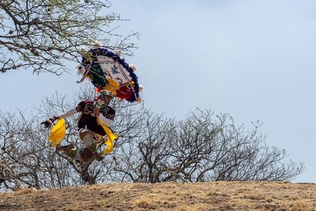 feather-dancer-hilltop.jpg