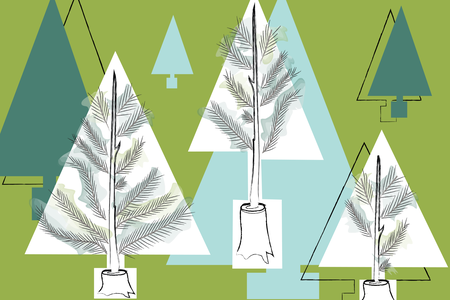By regrowing trees from stumps, farms can produce sustainable, pesticide-free pine trees. 