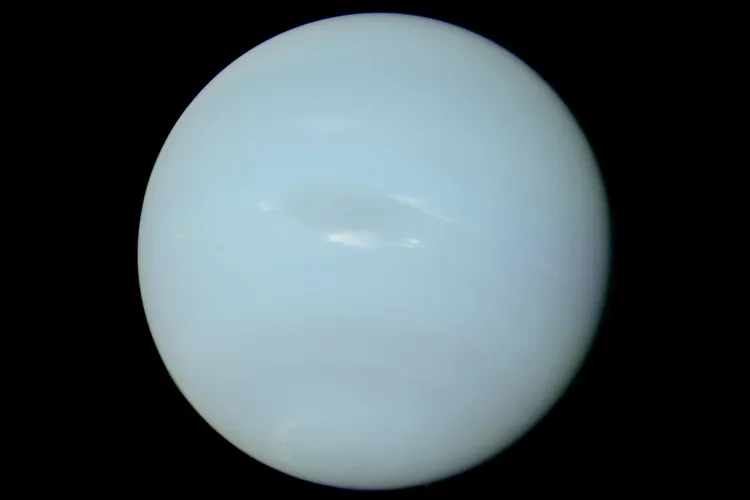 Neptune