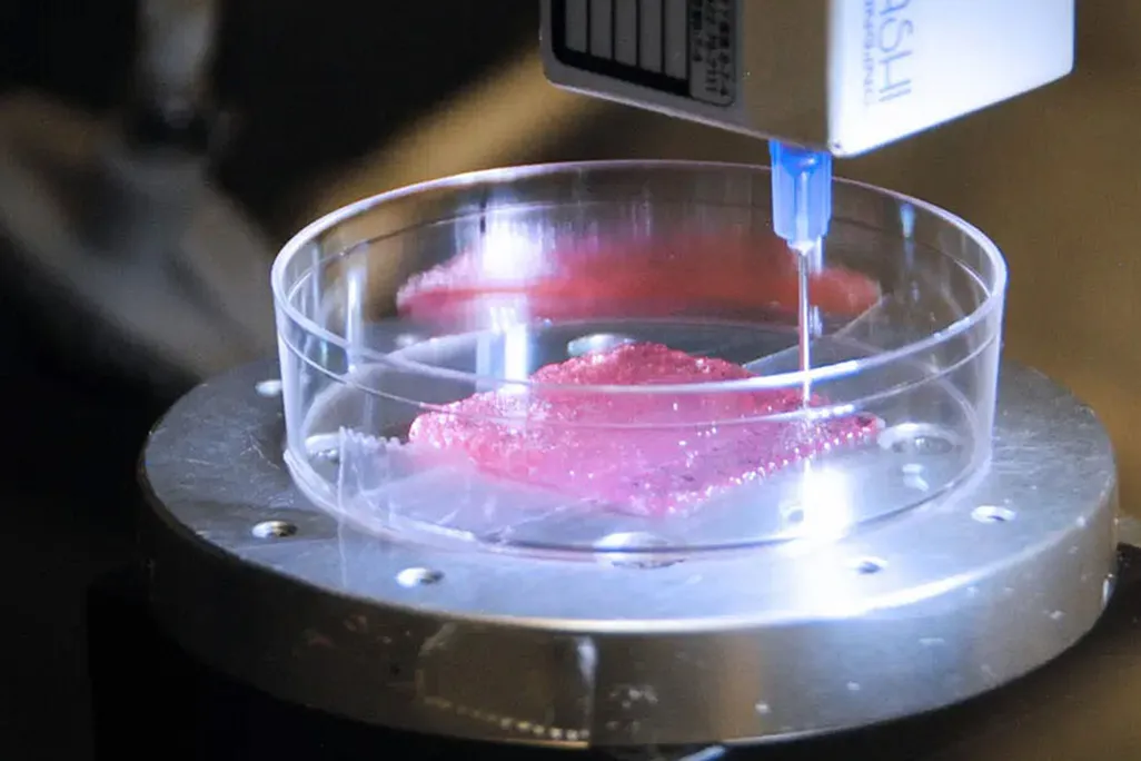 bioprinted-skin-1600x600.jpg