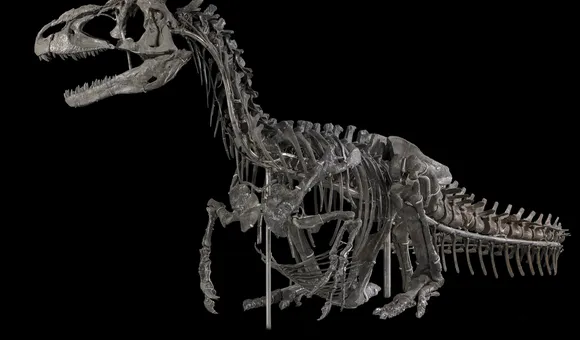 NMNH-Exhibits-DT-2017-00295 (1) (1).jpg