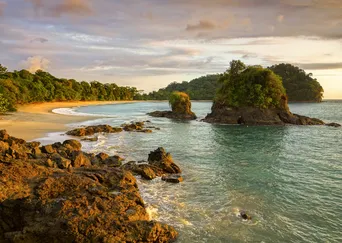 Costa Rica by Sea: Wildlife and Rainforests of the Pacific Coast description
