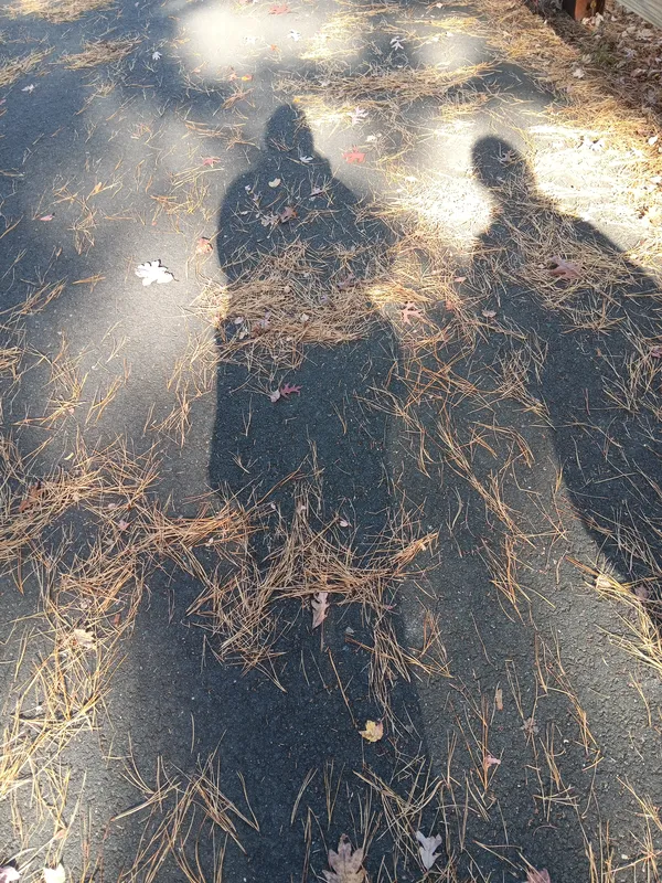 Walking through park on a wonderful day thumbnail