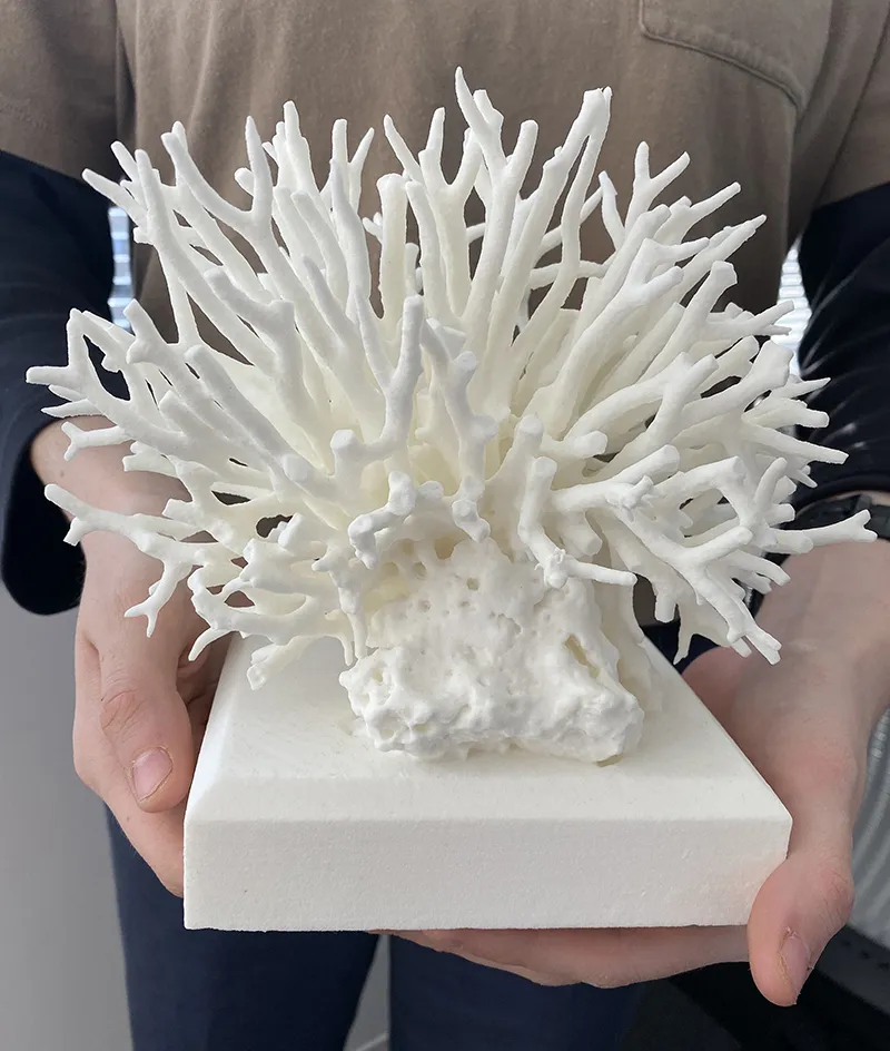 Coral 3-D print