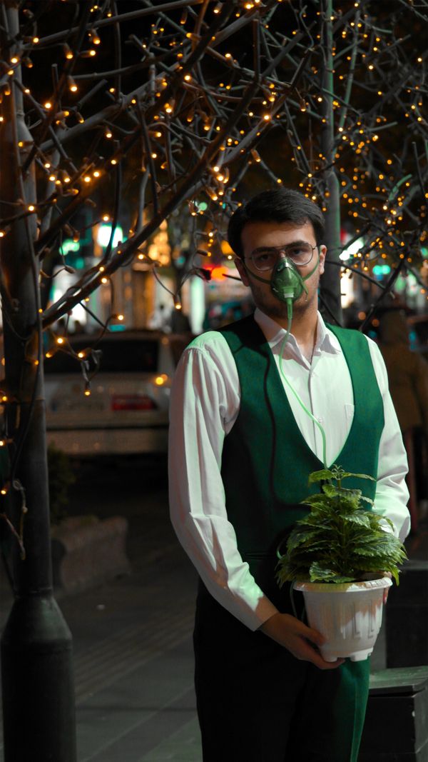 Trees are our lungs thumbnail