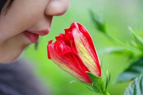 20120731021006smell.jpg