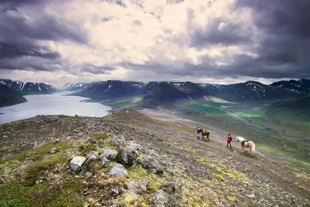 Riders view the incredible vista in Dýrafjörður, Iceland, alongside their equine companions.