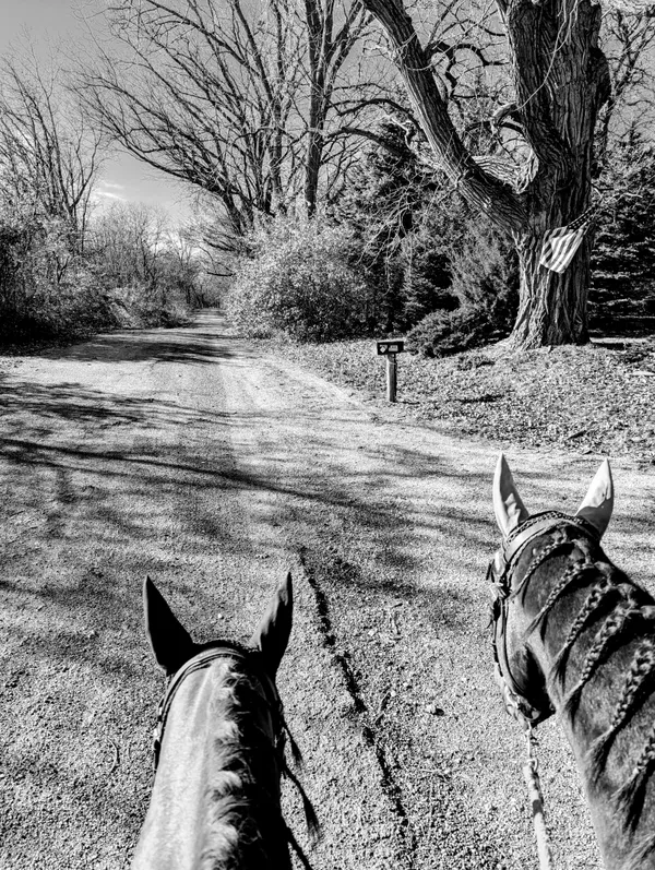 Symbols of Freedom thumbnail