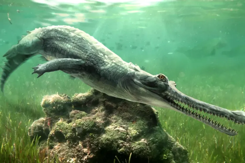 illustration of a crocodilian underwater