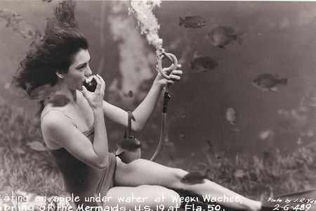 A mermaid eats an apple at the bottom of the (artificial) sea in this late 1940s postcard.