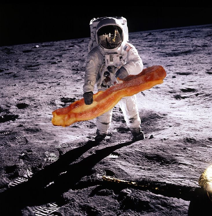 04_08_2014_space bacon.jpg