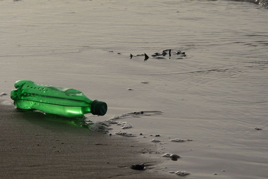 A lone green plastic bottle sits discarded near a body of water