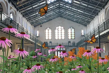 Rendering of ReWildAR, an augmented reality experience debuting at the Smithsonian's "Futures" exhibition later this year