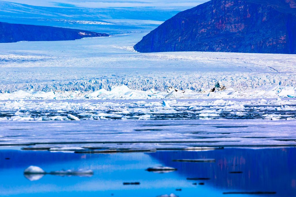 icebergs in greenland