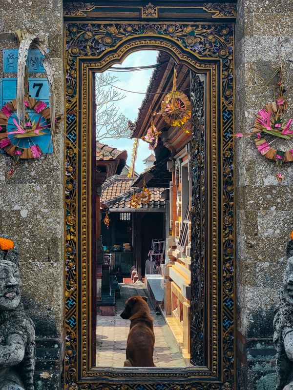 A gate of residence in Ubud, Bali thumbnail