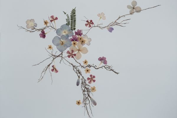 Floral composition made from dry-pressed flowers and roots thumbnail