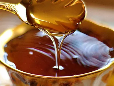What is it that makes honey such a special food?
