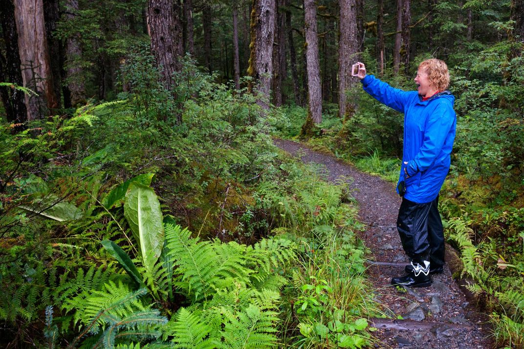 On the trail in an Alaskan rainforest