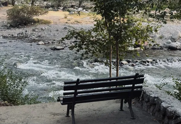 Tranquil bench on riverside thumbnail