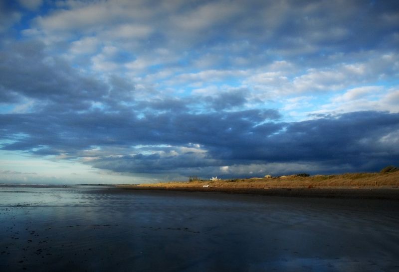 Looking north up Peka Peka Beach Smithsonian Photo Contest
