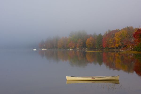 Canoe in Fog thumbnail