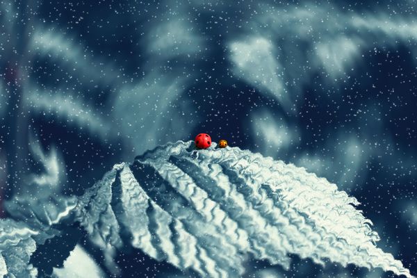 Changes... thumbnail