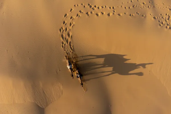 Turning Shadows thumbnail