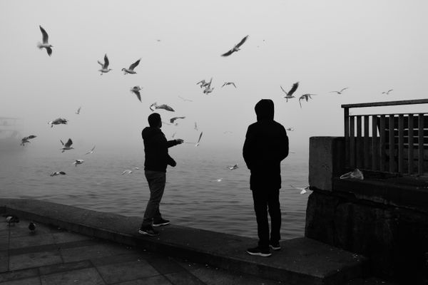 A Game with Fog and Seagulls thumbnail