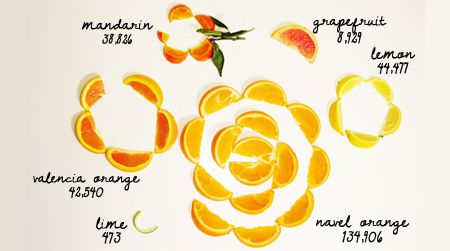 Visualization of California's statewide citrus production volumes.