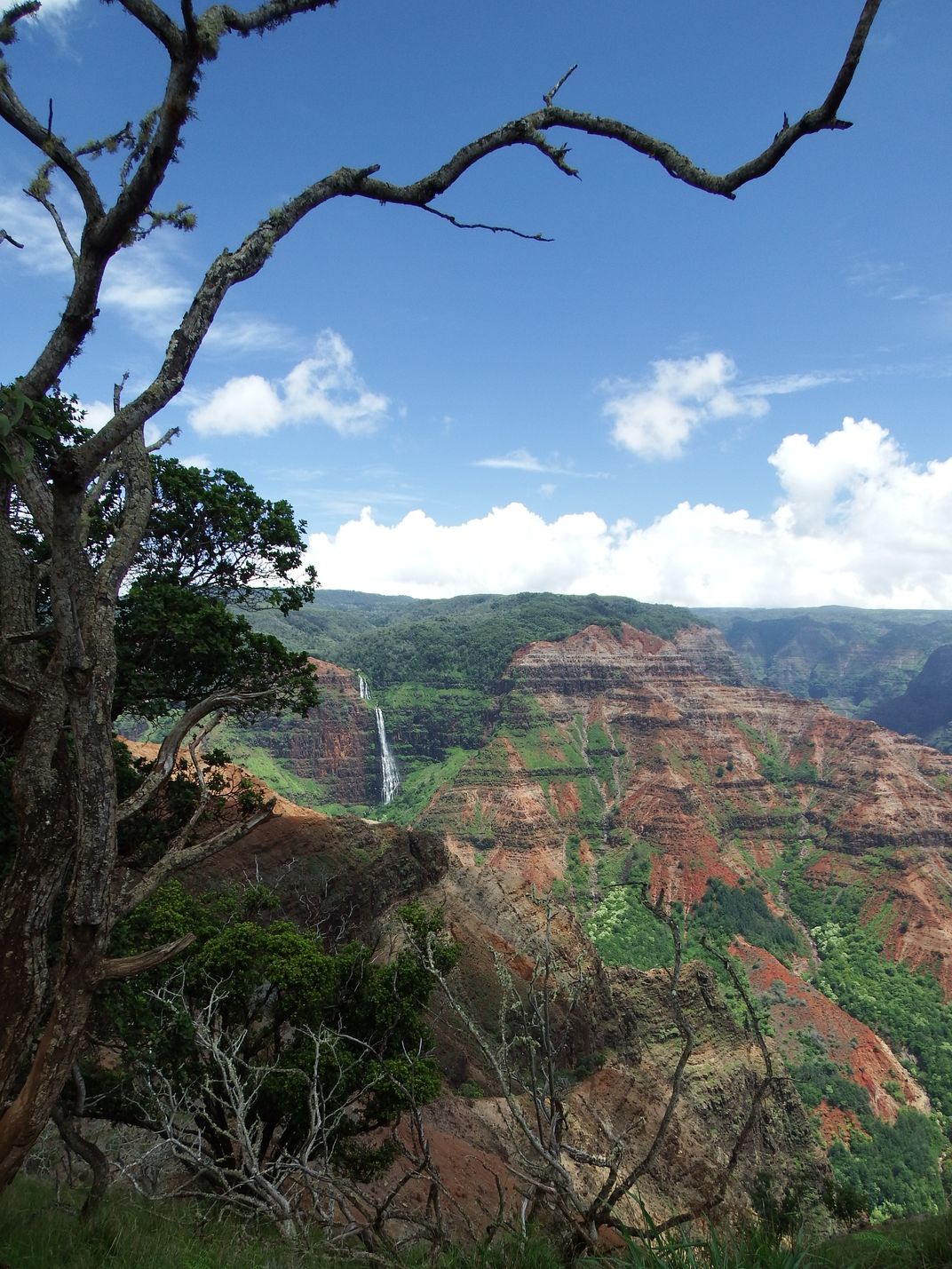 Waimea Canyon with Waipo'o waterfall in the background. | Smithsonian 