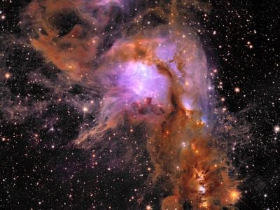 Euclid&rsquo;s new image of star-forming region Messier 78, a nebula that lies in the constellation Orion.