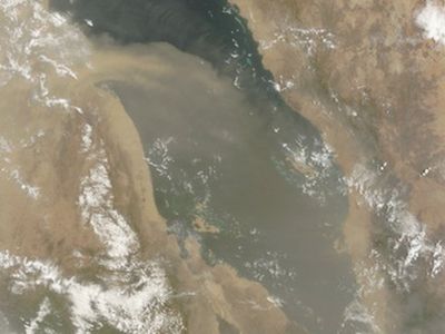 Dust lofted up from the Sahara can be blown across the Pacific and seed clouds over California.