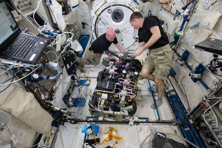 NASA astronauts Scott Kelly (left) and Terry Virts (right) work on a day’s task on board the International Space Station
