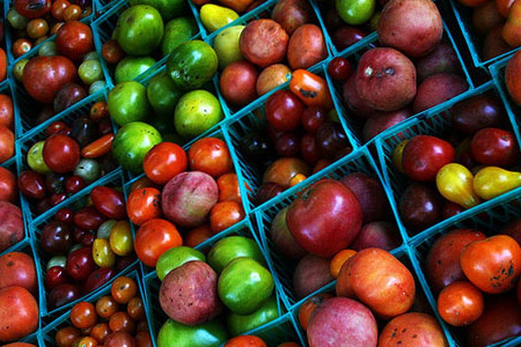 Heirloom tomatoes