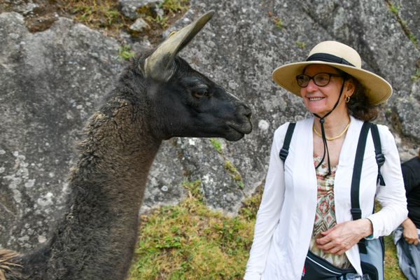 Tourist - Llama Quality Time thumbnail