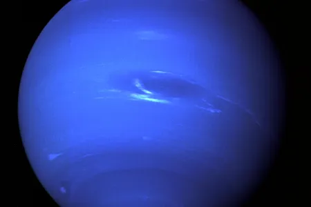 Could Neptune-size planets host life? 