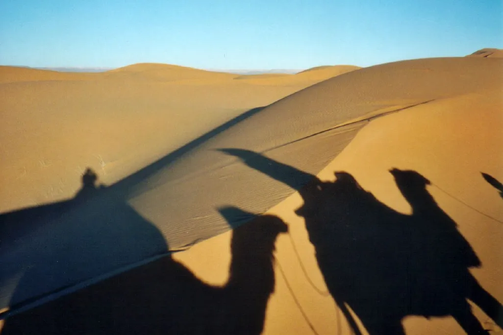 20130916101023Sahara-shadows.jpg