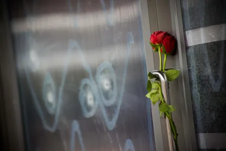 Roses mark a window filled with bullet holes after a shooting spree in Denmark.