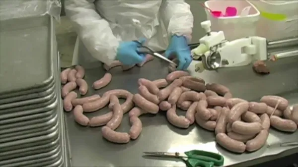 Preview thumbnail for The Art of Sausage Making