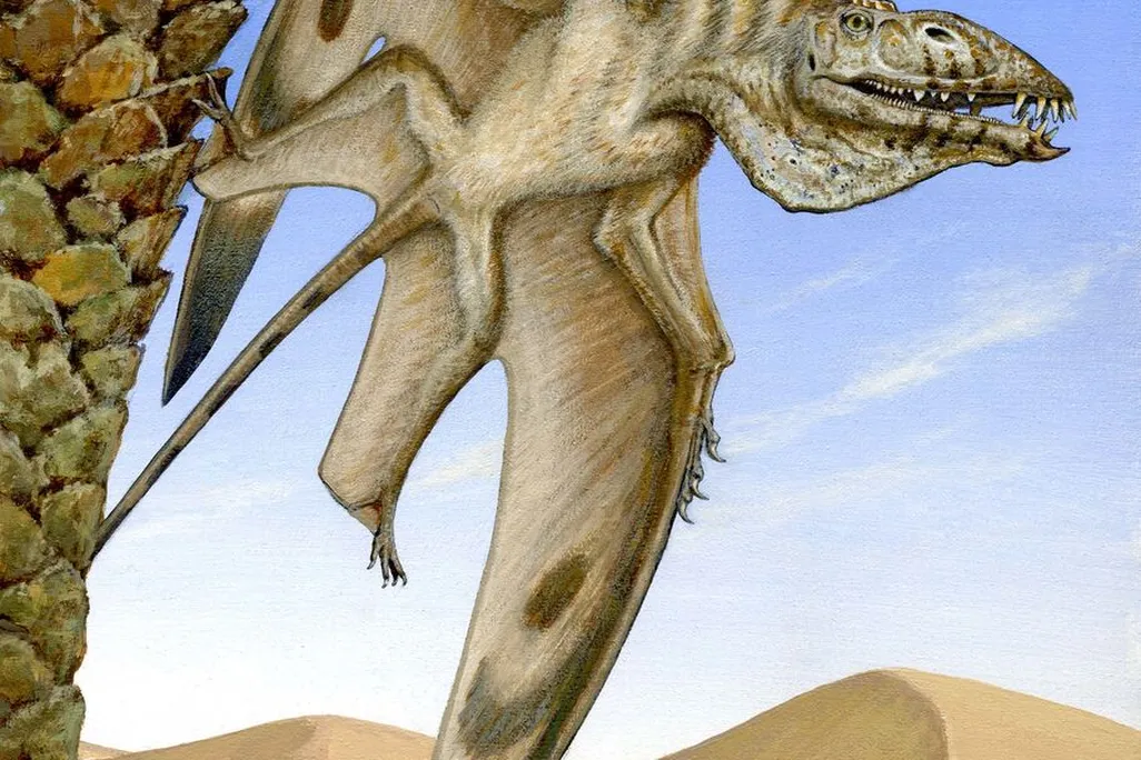 Pterosaur