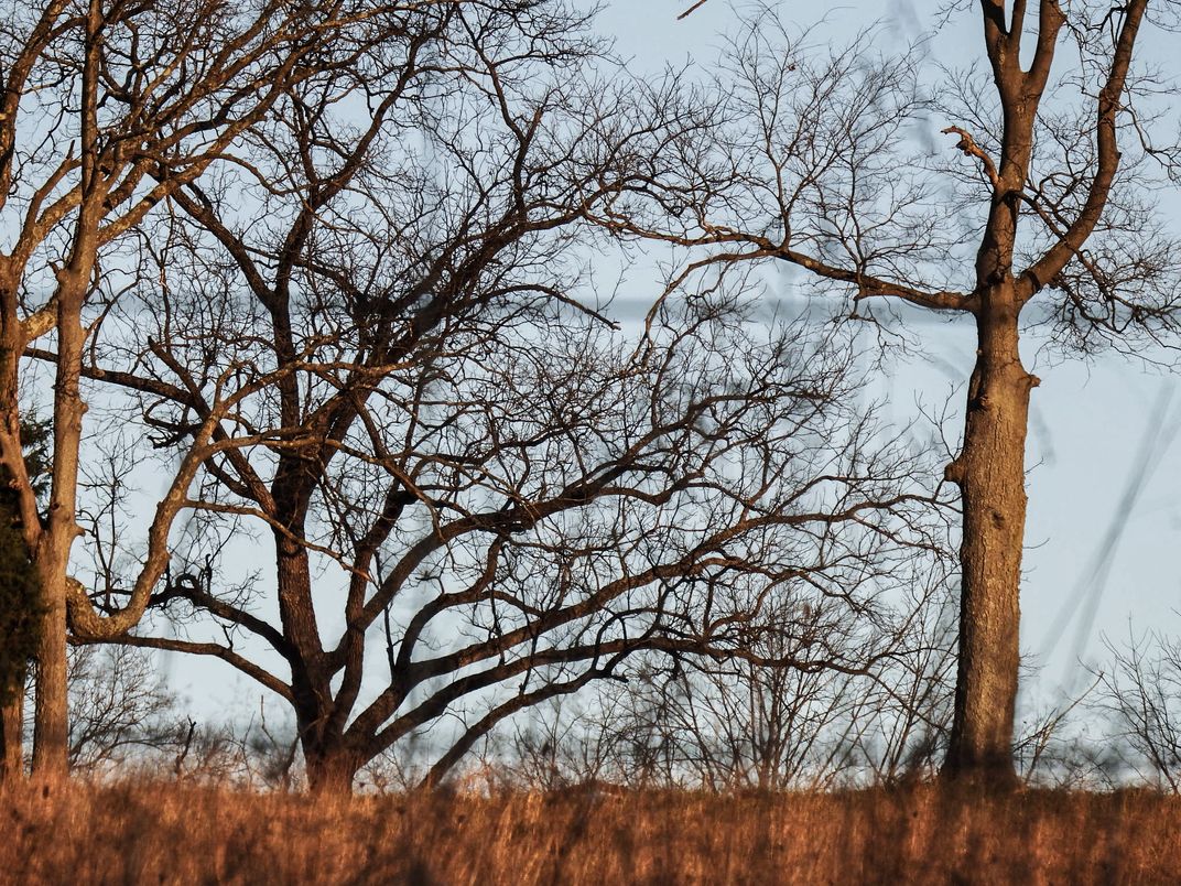 One Of The Many Vacant Fields Through The Back Roads Of West Virginia 