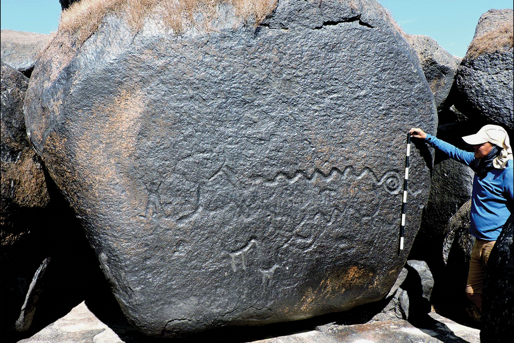 A scientist stands with a measuring tape next to a rock with animal engravings.