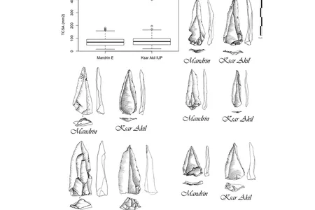 Flint points from Grotte Mandrin in France and Ksar Akil in Lebanon