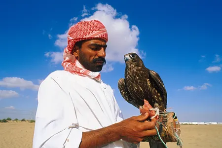 This man living in Dubai would need proper documentation if his bird is to fly — on an airplane, that is